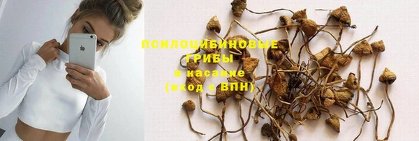 прущие крисы Ладушкин