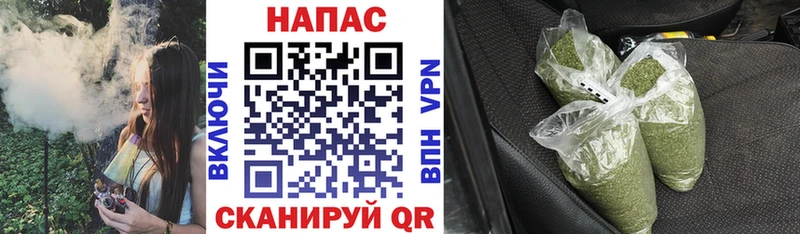 купить закладку  Невельск  Бошки марихуана план 